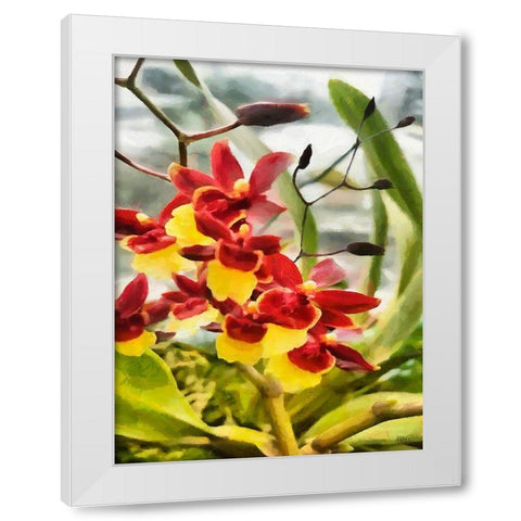 Red and Yellow Orchid White Modern Wood Framed Art Print by Medeiros, Celito