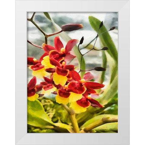 Red and Yellow Orchid White Modern Wood Framed Art Print by Medeiros, Celito