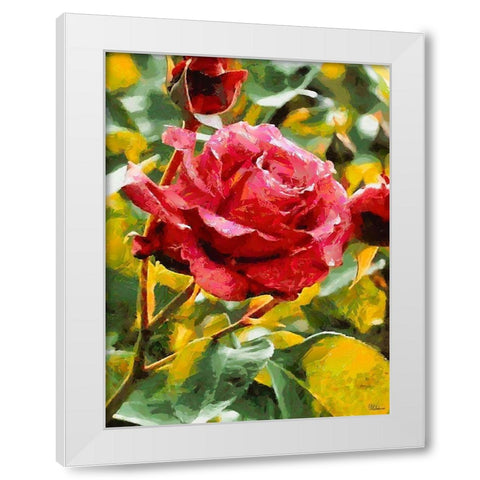One Red Rose White Modern Wood Framed Art Print by Medeiros, Celito