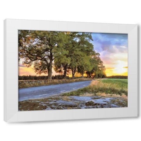 Oak Way by Sunset White Modern Wood Framed Art Print by Medeiros, Celito