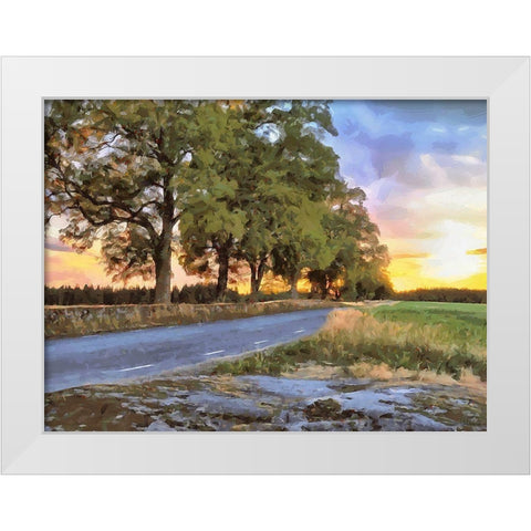 Oak Way by Sunset White Modern Wood Framed Art Print by Medeiros, Celito