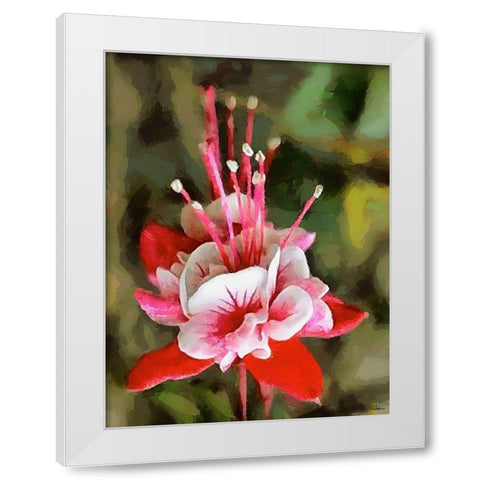 Spring Floral Variations XXII White Modern Wood Framed Art Print by Medeiros, Celito