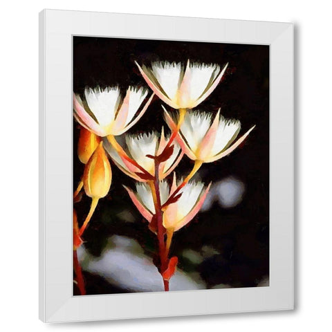 Spring Floral Variations XXV White Modern Wood Framed Art Print by Medeiros, Celito