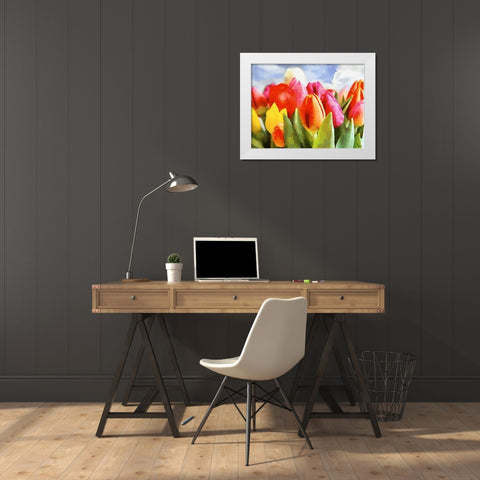 Spring Floral Variations XLI White Modern Wood Framed Art Print by Medeiros, Celito