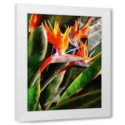 Spring Floral Variations XLIII White Modern Wood Framed Art Print by Medeiros, Celito