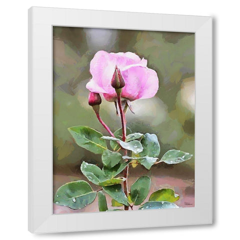 Spring Floral Variations XLVIII White Modern Wood Framed Art Print by Medeiros, Celito