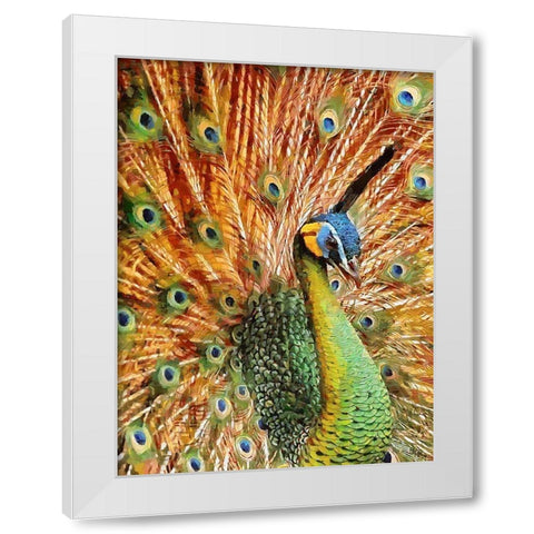 Beautiful Peacock White Modern Wood Framed Art Print by Medeiros, Celito