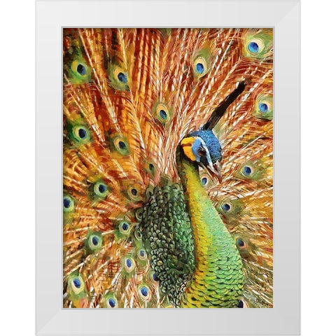 Beautiful Peacock White Modern Wood Framed Art Print by Medeiros, Celito