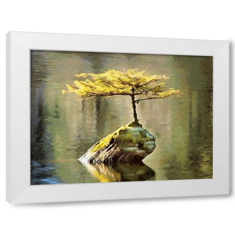 Smal Tree on a Rock in the Lake White Modern Wood Framed Art Print by Medeiros, Celito