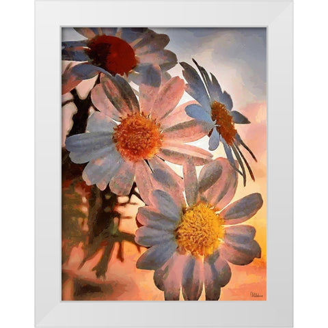 Daisies with the Sun White Modern Wood Framed Art Print by Medeiros, Celito