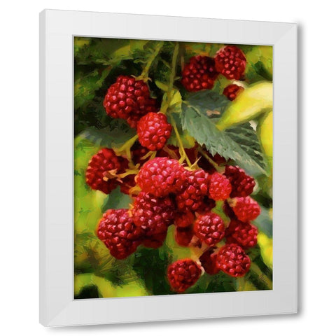 Red Raspberries White Modern Wood Framed Art Print by Medeiros, Celito
