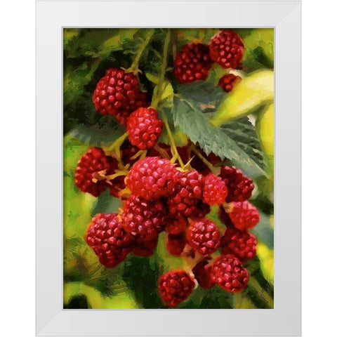 Red Raspberries White Modern Wood Framed Art Print by Medeiros, Celito