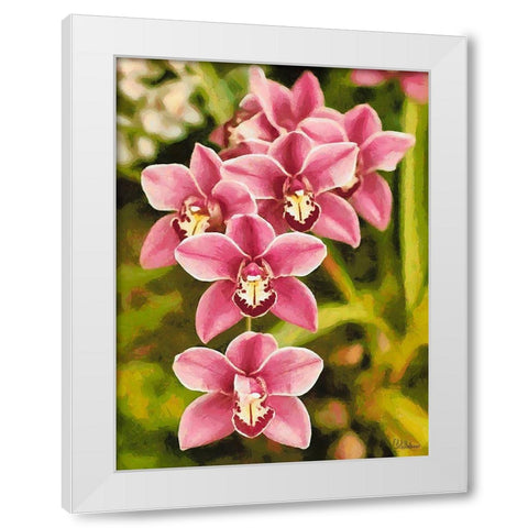 Orchids XXV White Modern Wood Framed Art Print by Medeiros, Celito