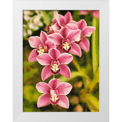 Orchids XXV White Modern Wood Framed Art Print by Medeiros, Celito