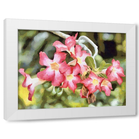 Orchids XXVI White Modern Wood Framed Art Print by Medeiros, Celito