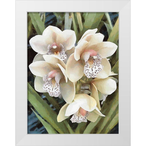 Orchids XXIX White Modern Wood Framed Art Print by Medeiros, Celito