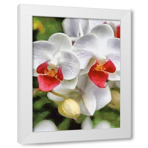 Orchids XXX White Modern Wood Framed Art Print by Medeiros, Celito