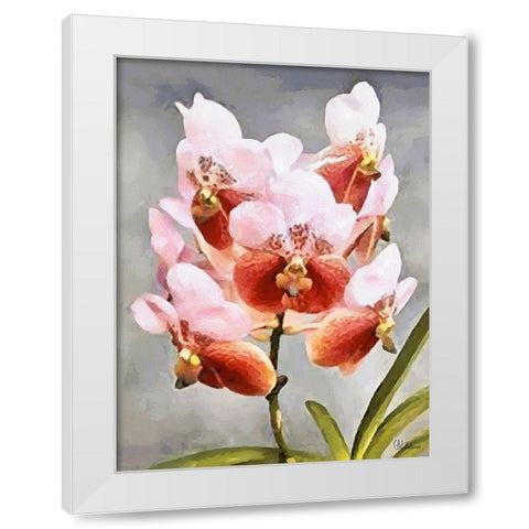Orchids XXXI White Modern Wood Framed Art Print by Medeiros, Celito