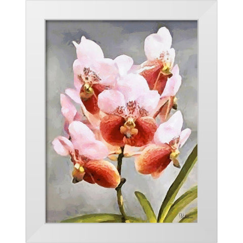 Orchids XXXI White Modern Wood Framed Art Print by Medeiros, Celito