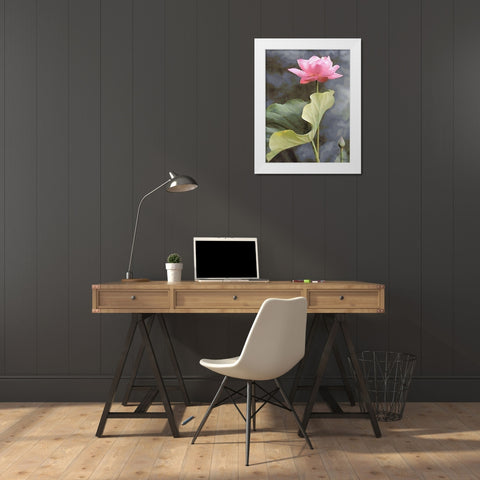 Watter Lilly III White Modern Wood Framed Art Print by Medeiros, Celito