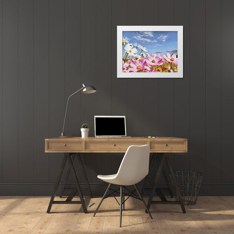 Field Flowers IV White Modern Wood Framed Art Print by Medeiros, Celito