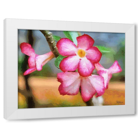 Orchids XXXIII White Modern Wood Framed Art Print by Medeiros, Celito