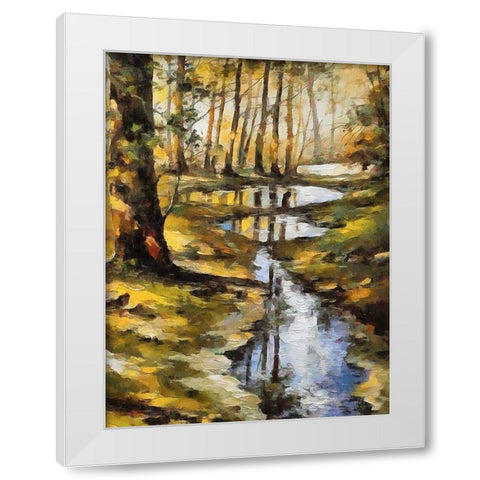 Small Stream in Forest White Modern Wood Framed Art Print by Medeiros, Celito