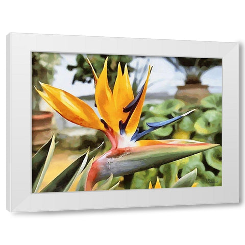 Yellow Orchid I White Modern Wood Framed Art Print by Medeiros, Celito