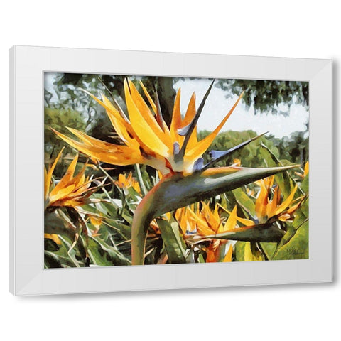 Yellow Orchid II White Modern Wood Framed Art Print by Medeiros, Celito