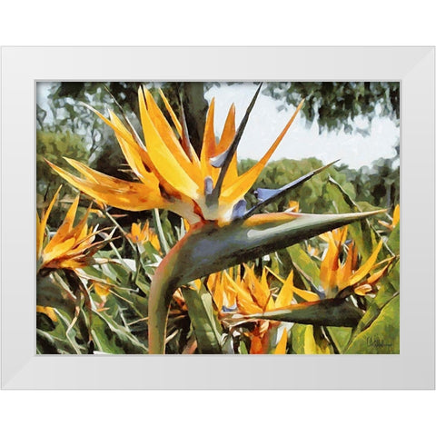 Yellow Orchid II White Modern Wood Framed Art Print by Medeiros, Celito