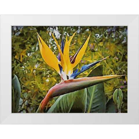 Yellow Orchid III White Modern Wood Framed Art Print by Medeiros, Celito