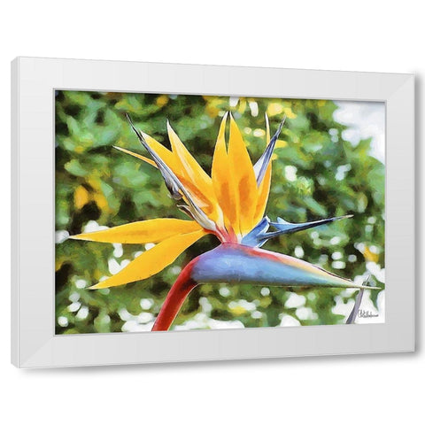 Yellow Orchid IV White Modern Wood Framed Art Print by Medeiros, Celito