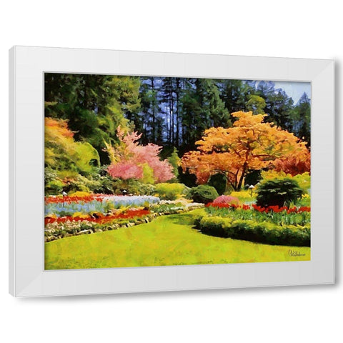 Beautiful Garden V White Modern Wood Framed Art Print by Medeiros, Celito