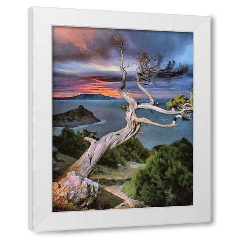 View Through Dry Tree White Modern Wood Framed Art Print by Medeiros, Celito