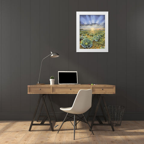 Sunset over Flowers VII White Modern Wood Framed Art Print by Medeiros, Celito