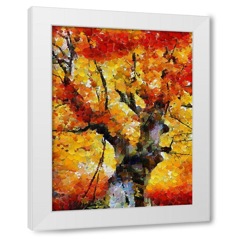 Collectio of Bloomin and Autumn Trees II White Modern Wood Framed Art Print by Medeiros, Celito