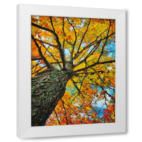 Collectio of Bloomin and Autumn Trees IV White Modern Wood Framed Art Print by Medeiros, Celito