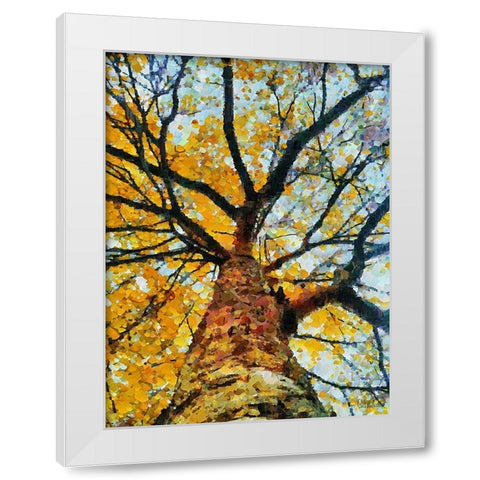 Collectio of Bloomin and Autumn Trees VIII White Modern Wood Framed Art Print by Medeiros, Celito