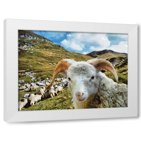 Sheep and Goat Collection I White Modern Wood Framed Art Print by Medeiros, Celito
