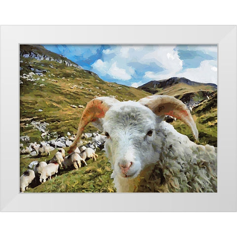 Sheep and Goat Collection I White Modern Wood Framed Art Print by Medeiros, Celito