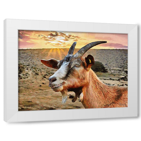 Sheep and Goat Collection IV White Modern Wood Framed Art Print by Medeiros, Celito