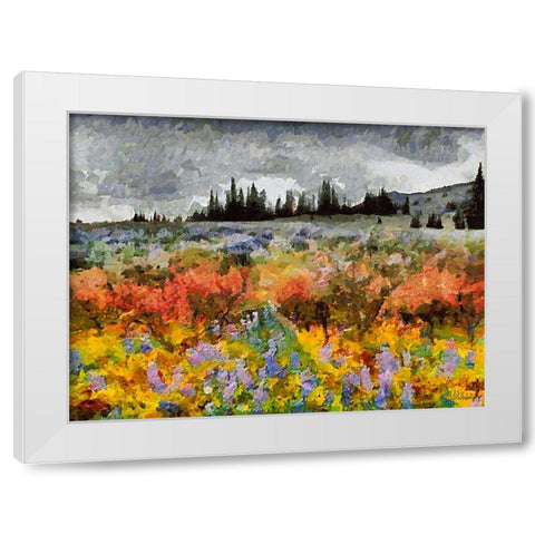 Colorful Meadow with Black and White Sky White Modern Wood Framed Art Print by Medeiros, Celito