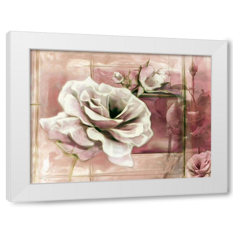 Rose with Pink Background White Modern Wood Framed Art Print by Medeiros, Celito