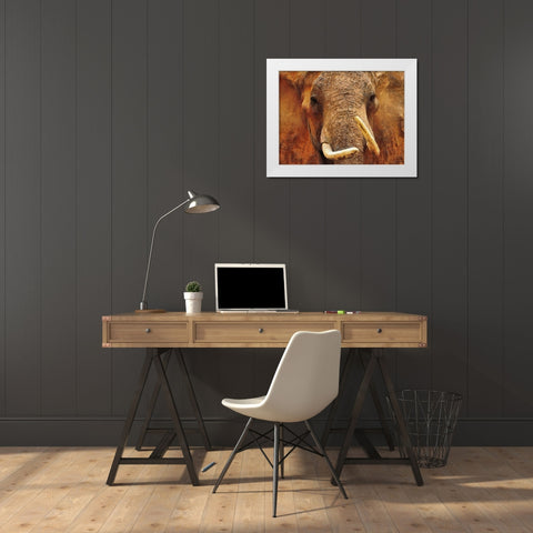 An Elephant White Modern Wood Framed Art Print by Medeiros, Celito