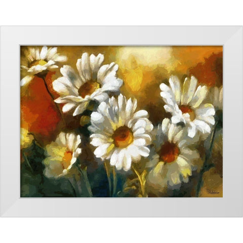 Daisies White Modern Wood Framed Art Print by Medeiros, Celito