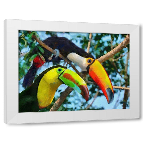 Two Tucans White Modern Wood Framed Art Print by Medeiros, Celito