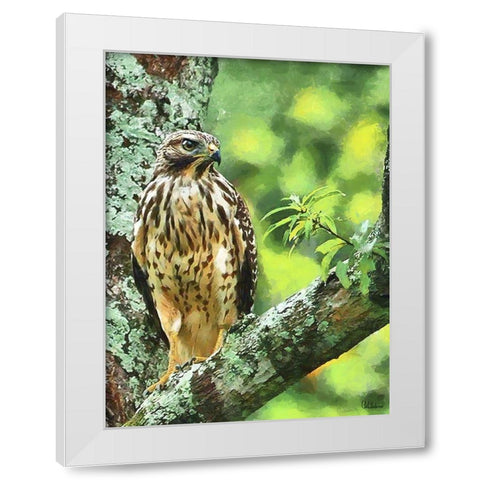 Falcon White Modern Wood Framed Art Print by Medeiros, Celito