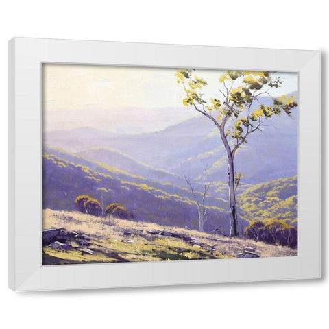 Afternoon Light Baathurst White Modern Wood Framed Art Print by Gercken, Graham