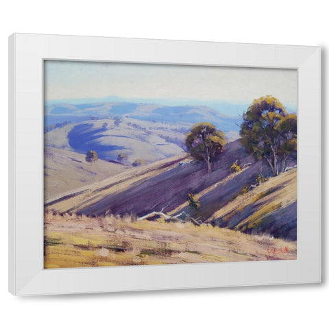 Summer Shadows Australia White Modern Wood Framed Art Print by Gercken, Graham