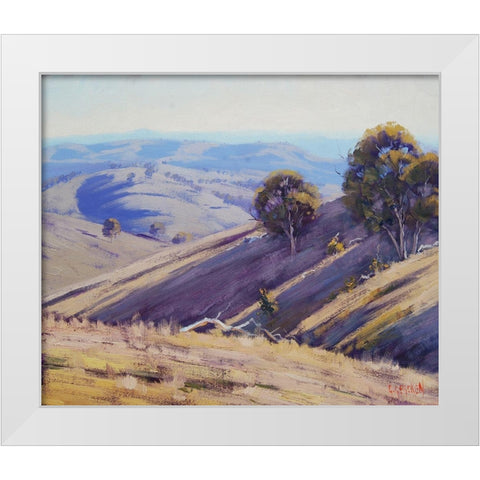 Summer Shadows Australia White Modern Wood Framed Art Print by Gercken, Graham